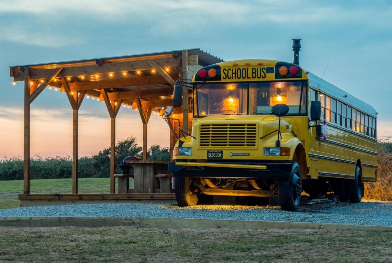American School Bus - 1 Bedroom - Blossom Farm - Tiers Cross Johnston Ngoại thất bức ảnh