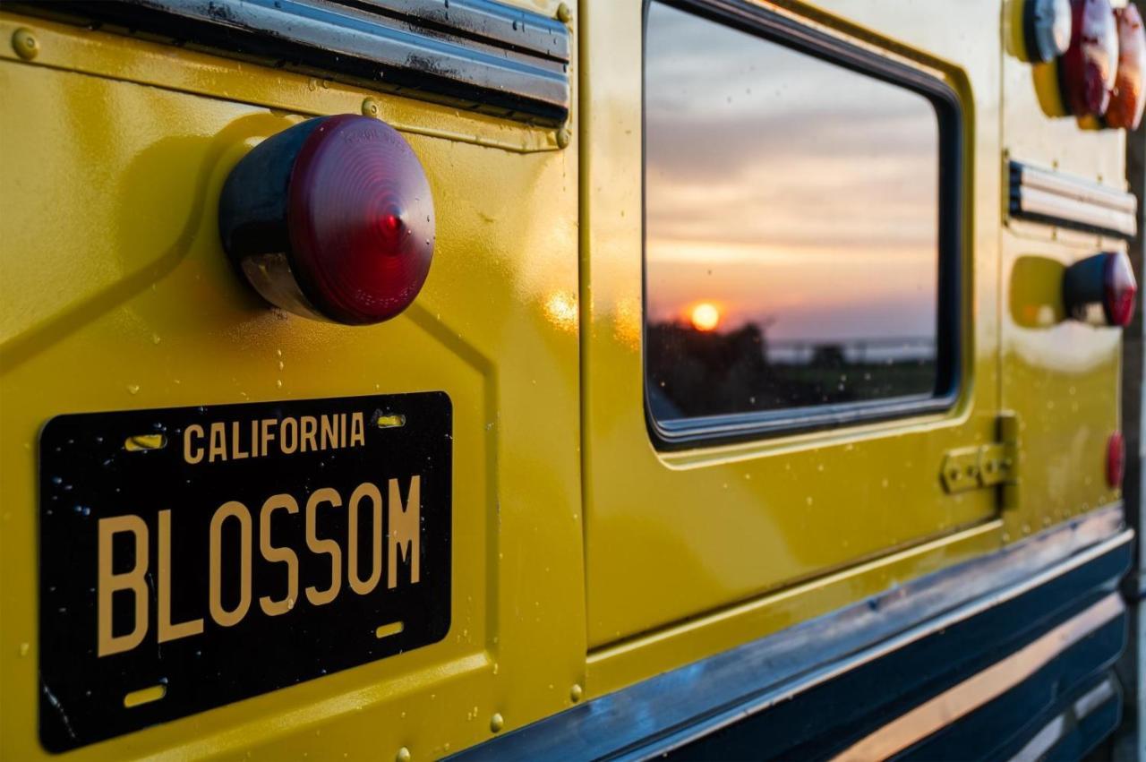 American School Bus - 1 Bedroom - Blossom Farm - Tiers Cross Johnston Ngoại thất bức ảnh
